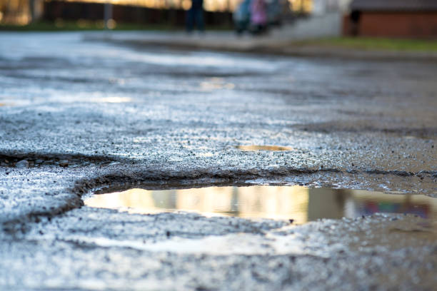 Best Gravel Driveway Installation in Bradenton, FL